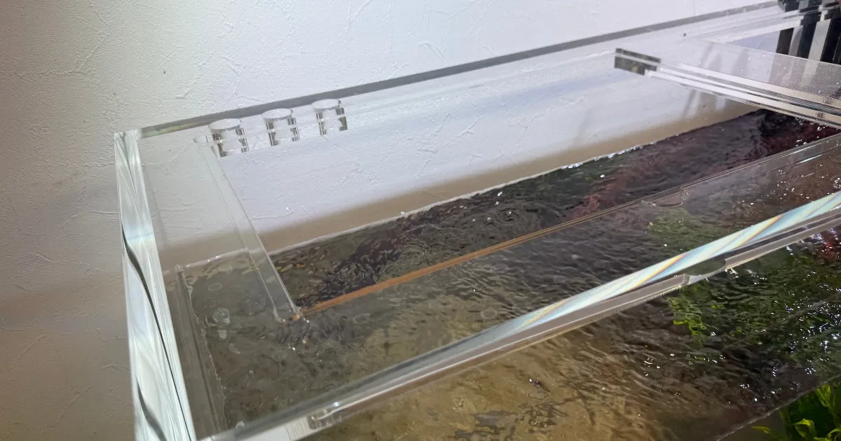 アクアレンタリウムのアクリル水槽 設置事例