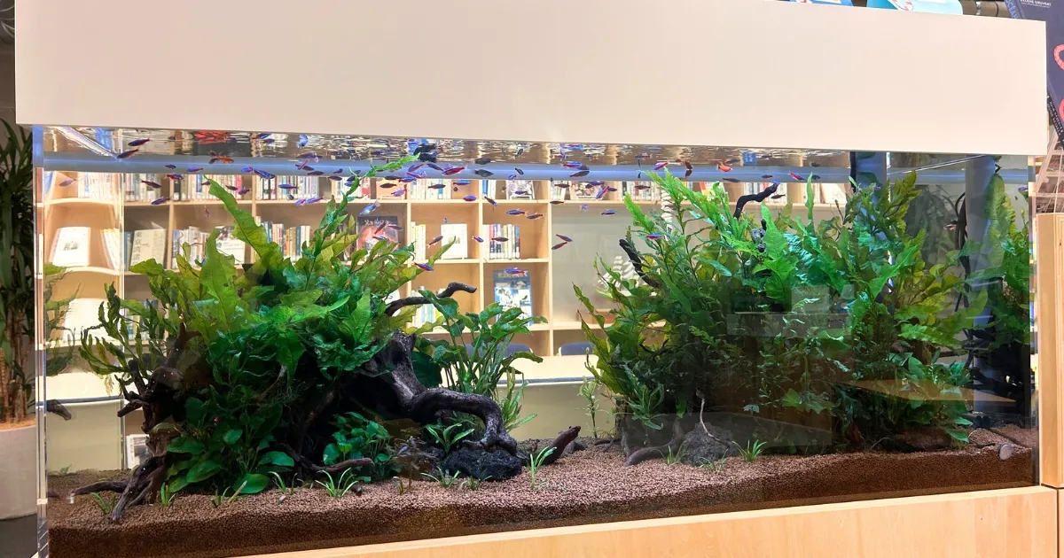 特注水槽のフタ加工