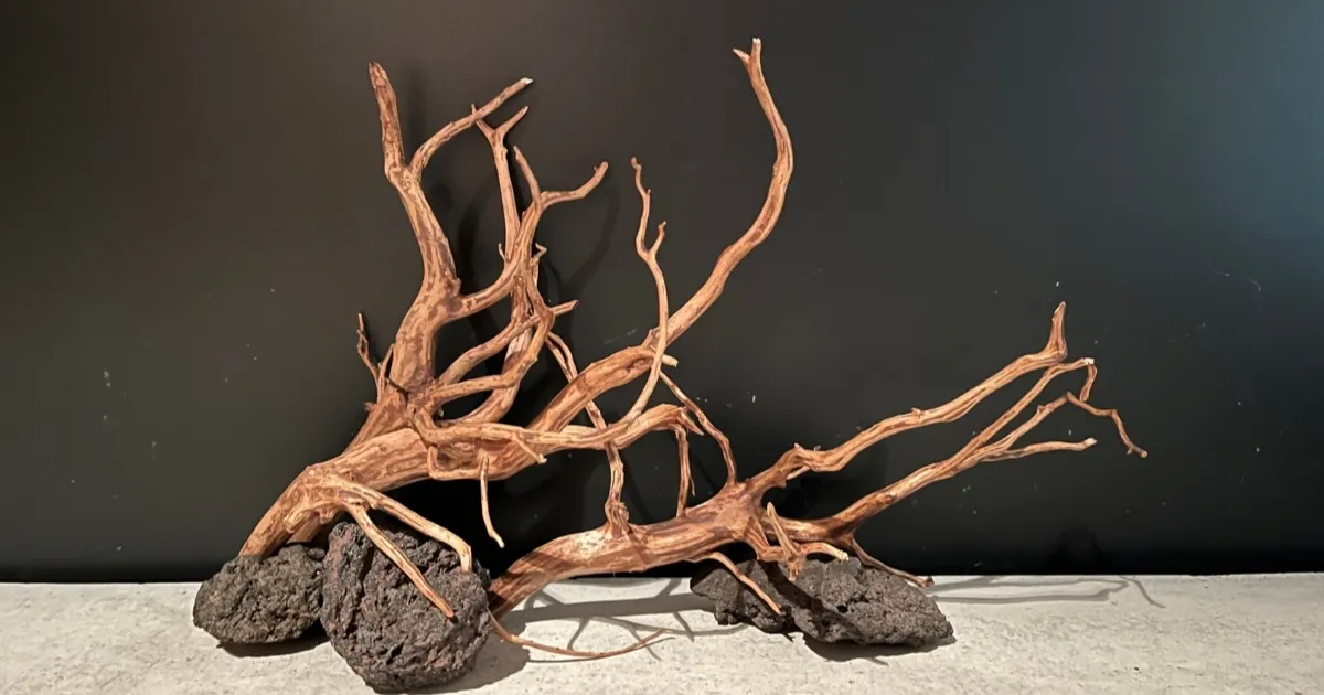 レイアウトの骨格制作事例 1