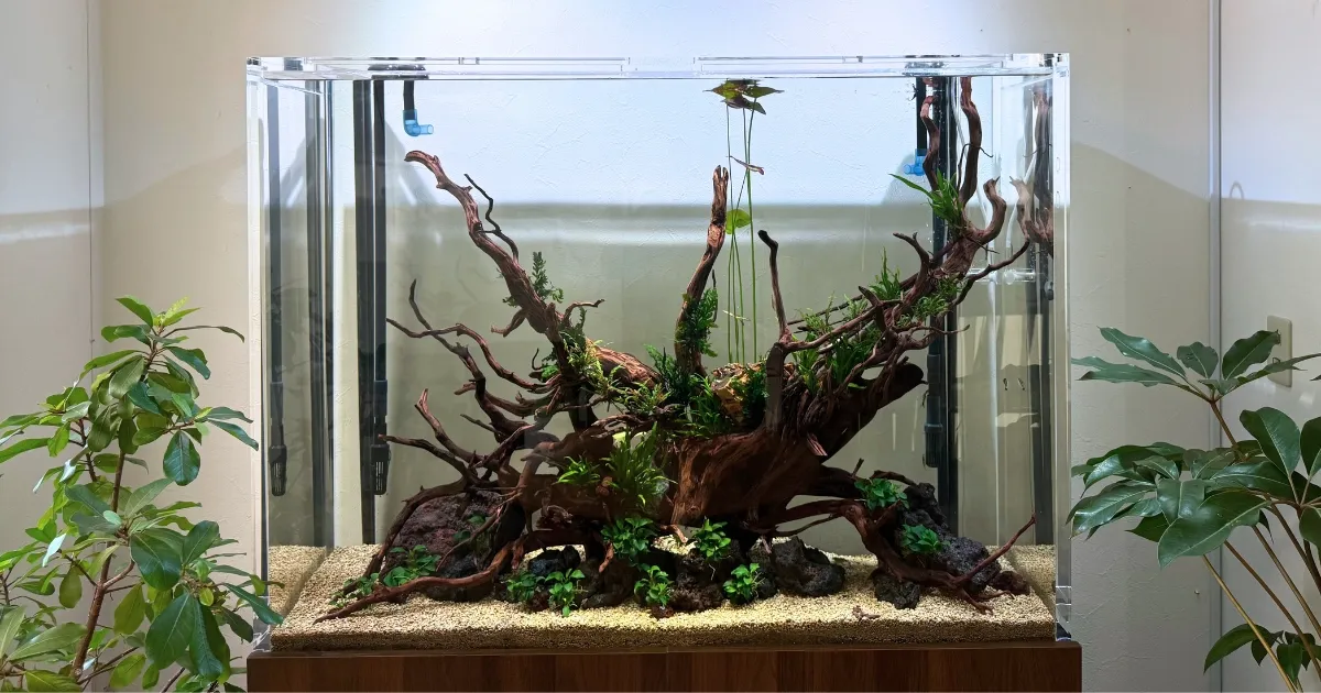 特注アクリル水槽 制作工程1