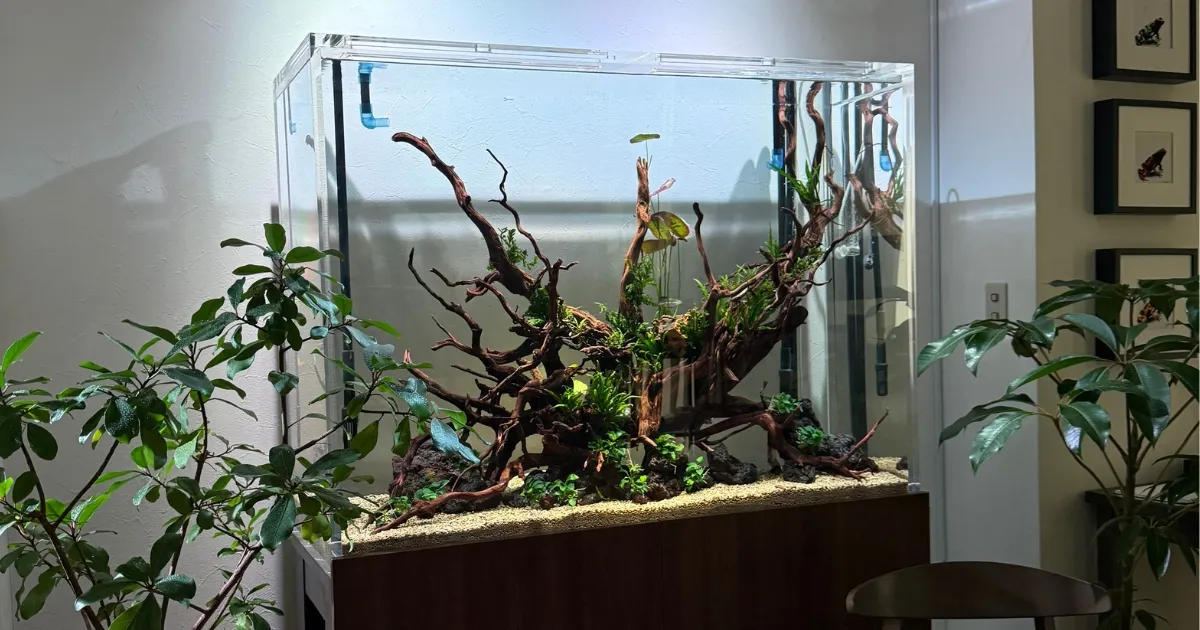 特注アクリル水槽 制作工程2