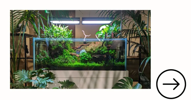 アクリル製オーバーフロー水槽のオーダーメイド｜価格表・3D・板厚・重さ