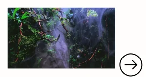 アクアレンタリウムのエリア別サービスメニュー