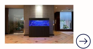 アクアレンタリウムの水槽リースサービスメニュー