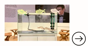 アクアレンタリウムの短期水槽レンタルサービスメニュー