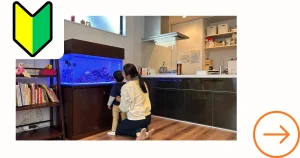 アクアレンタリウムの水槽導入ガイド