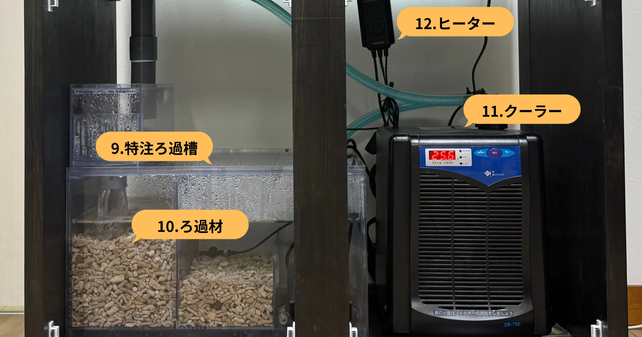 海水魚ろ過システム