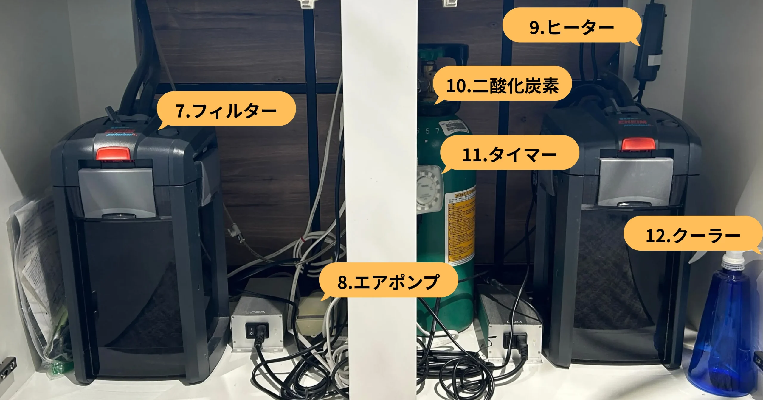 熱帯魚ろ過システム