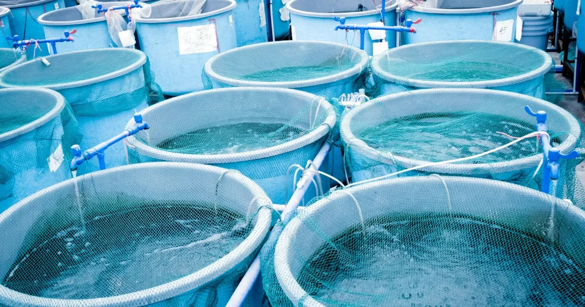 養殖用FRP生簀