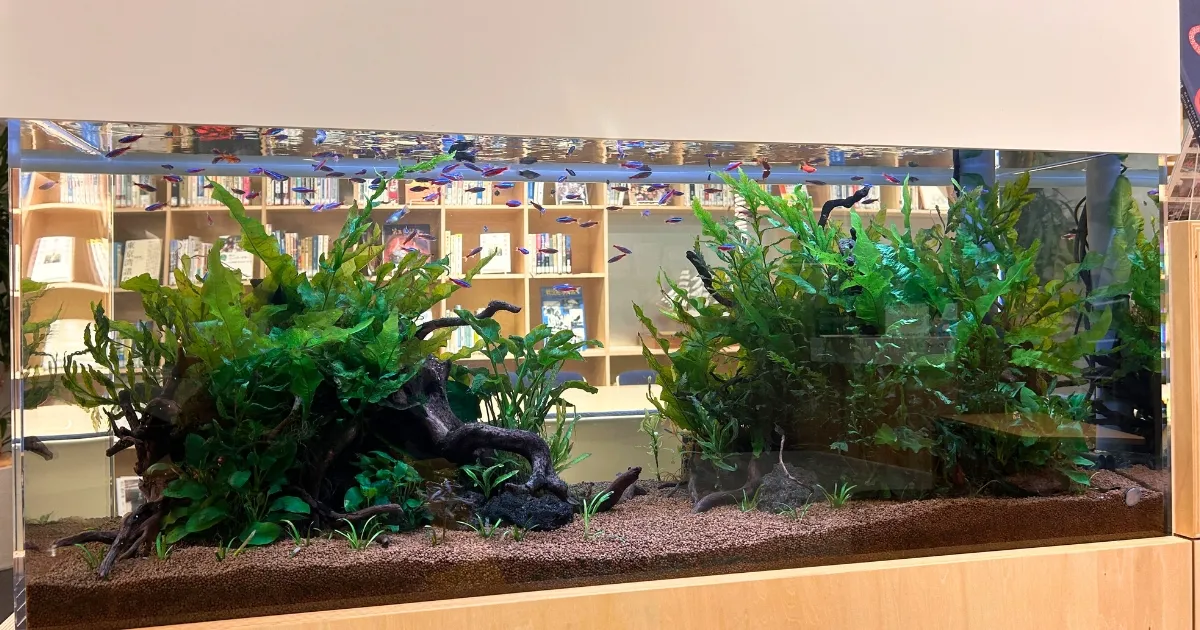 アクリル水槽