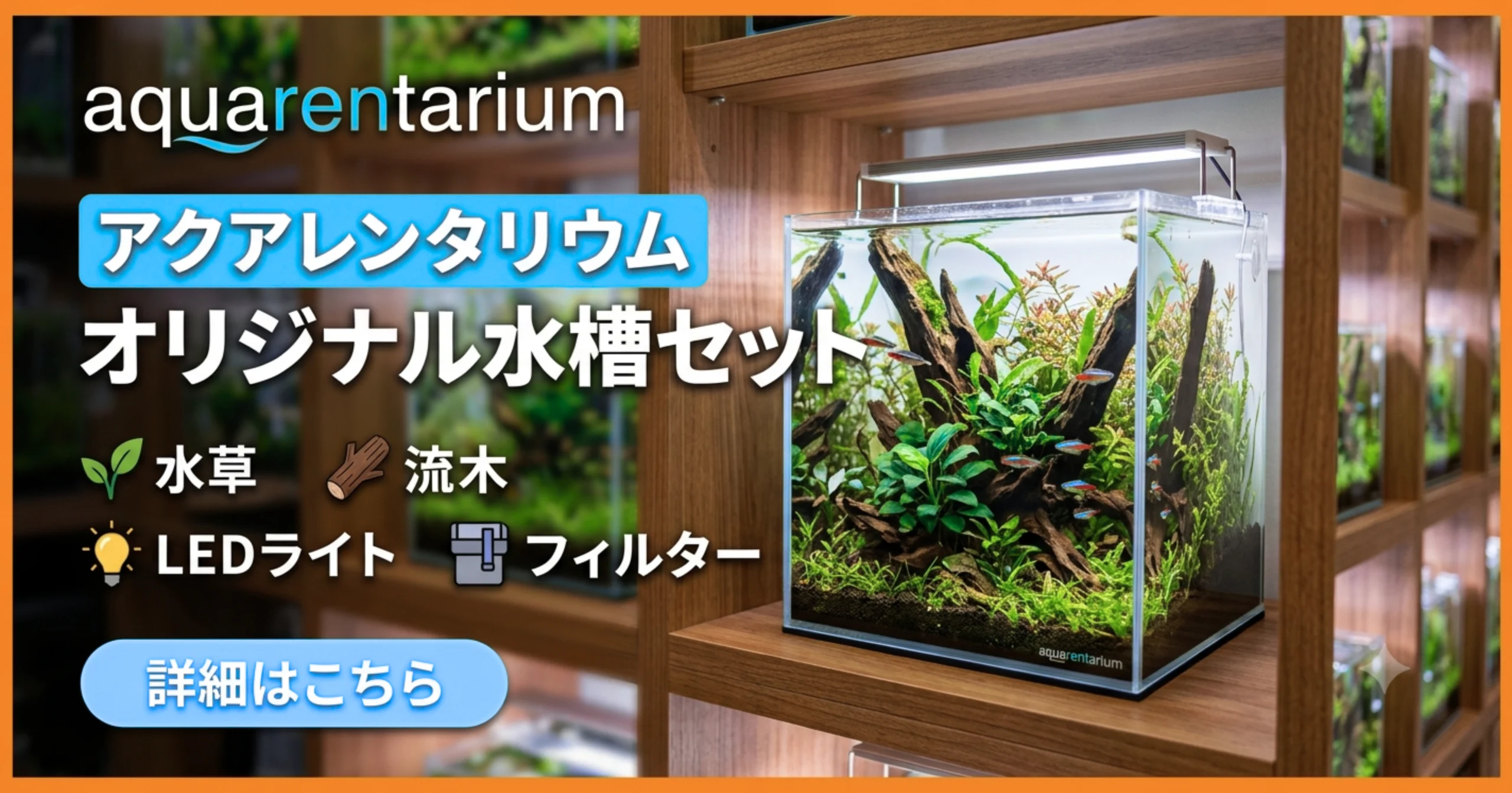 オリジナル水槽セット 60cm