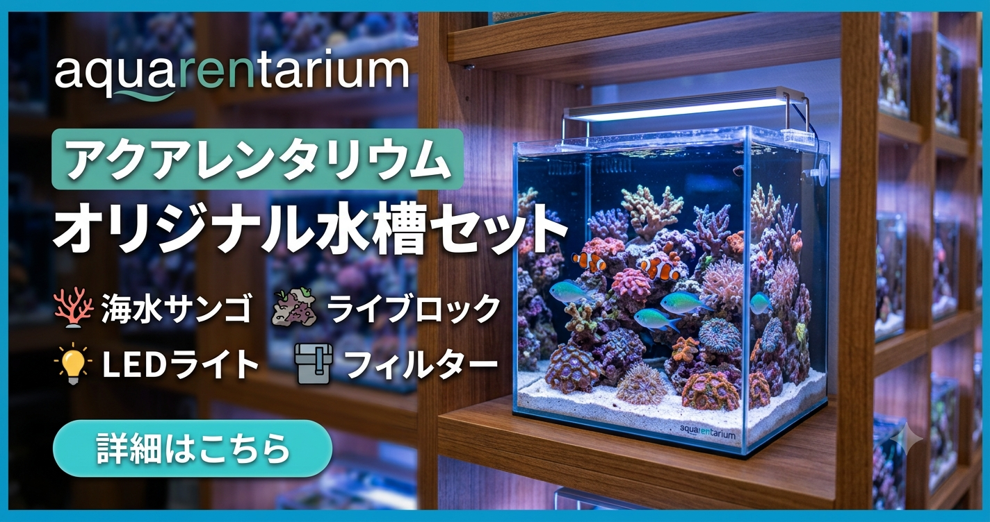 海水魚飼育完全ガイド】初心者でもできる作り方・必要機材・費用