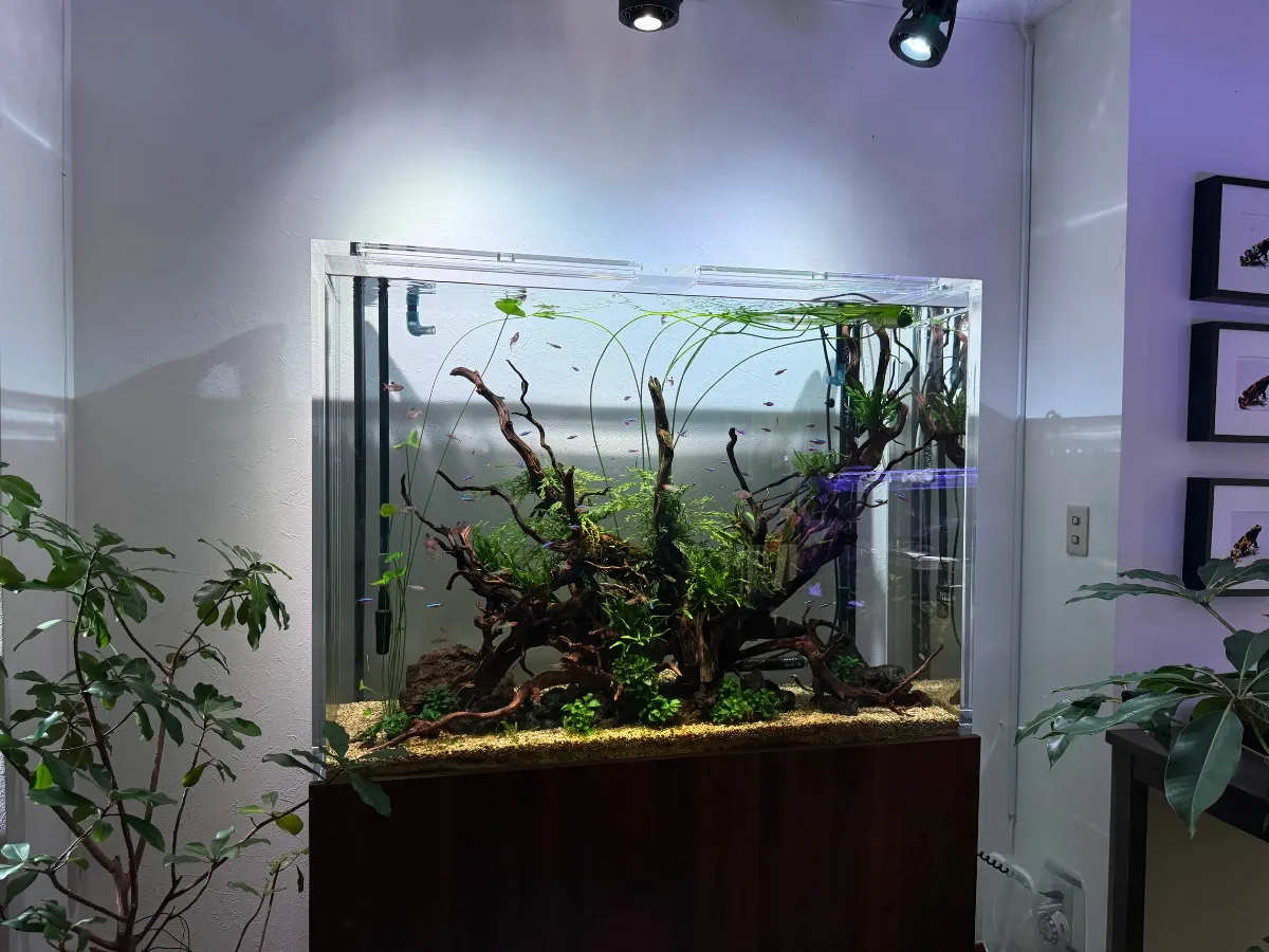 特注アクリル水槽 制作工程1