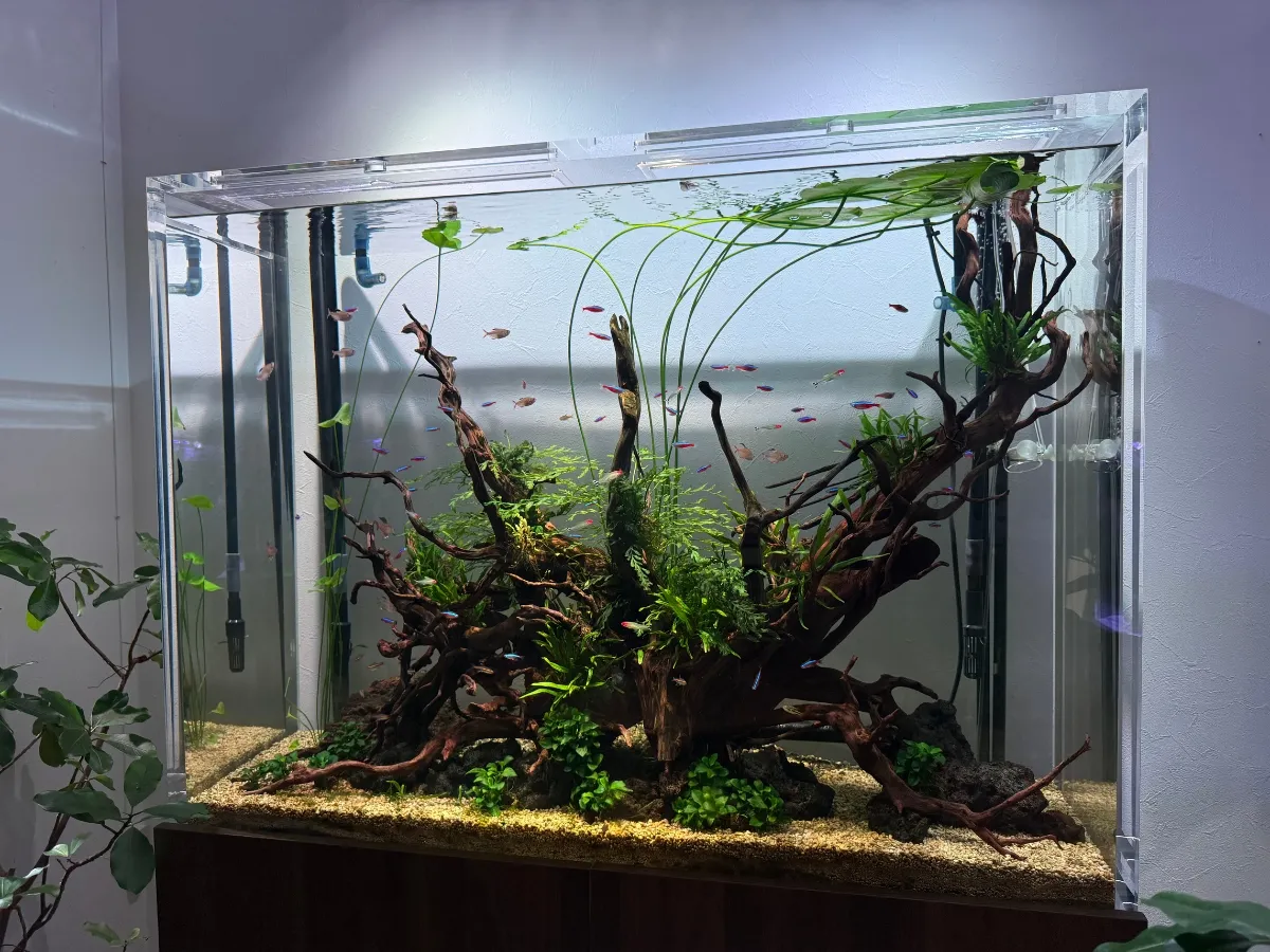 特注アクリル水槽 制作工程2
