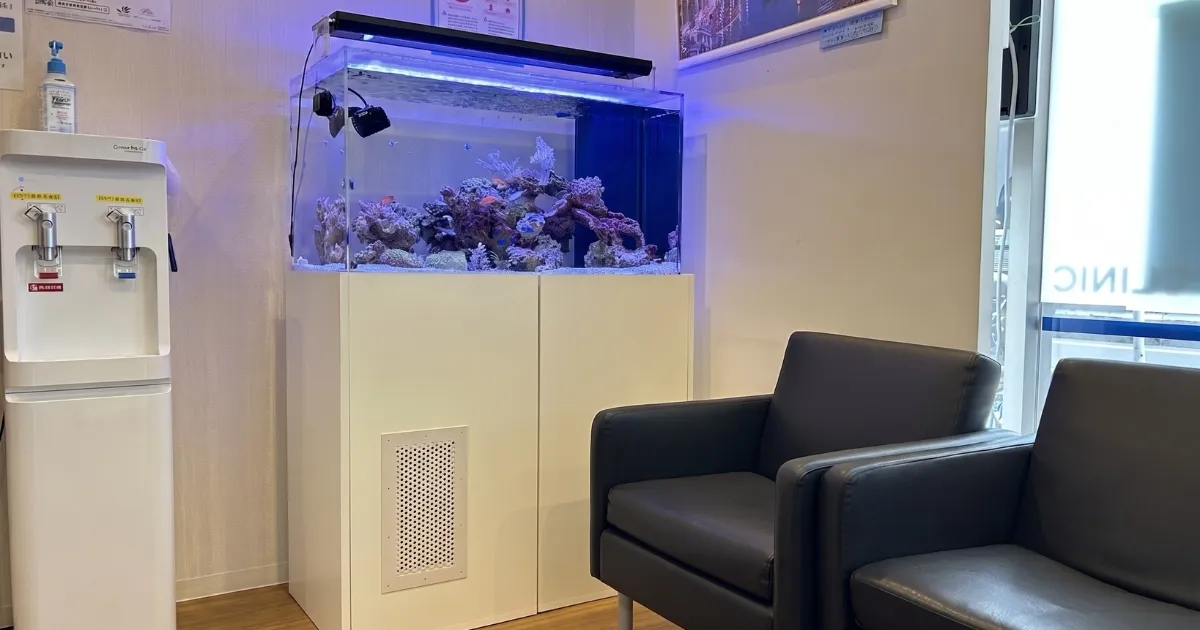 本物のサンゴと海水魚の様子