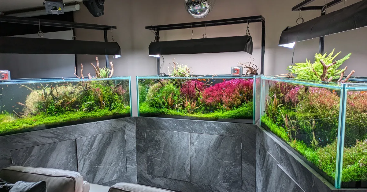 渋谷区個人宅の120cm水草水槽3台 レイアウトクローズアップ