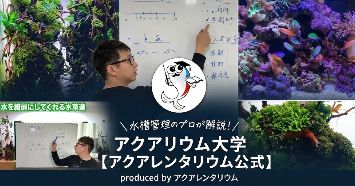 アクアリウム大学