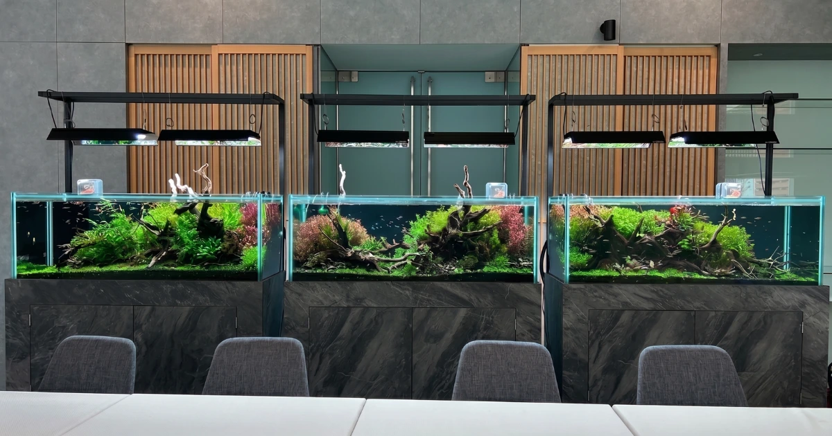 120cm水草水槽
