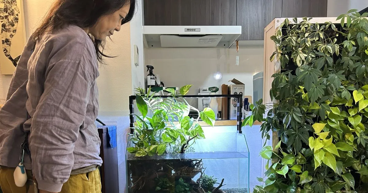 二子玉川のリラクゼーションサロンに設置した60cmアクアテラリウム水槽
