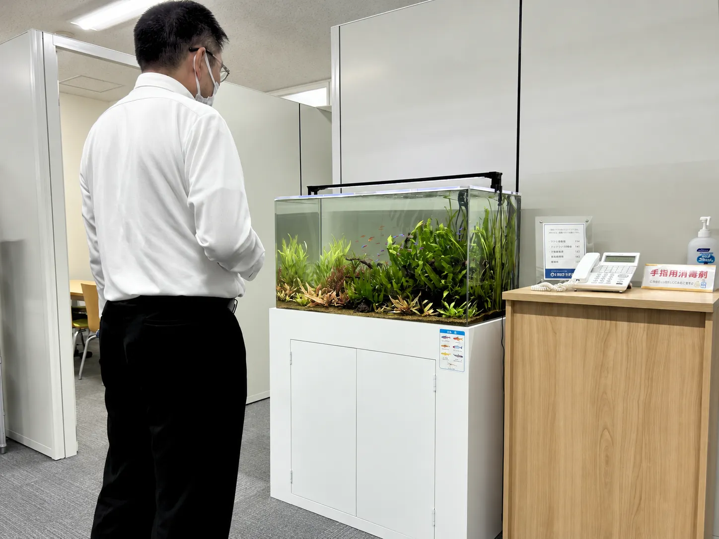 東京都文京区のオフィスに設置した90cm熱帯魚・水草水槽