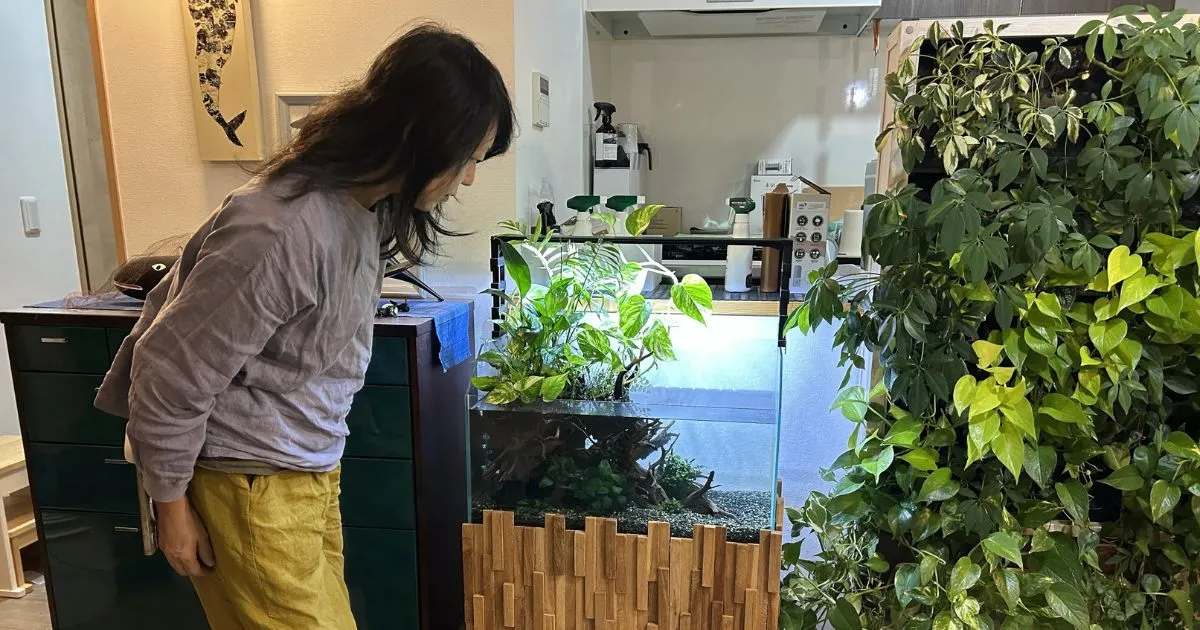 青く澄んだ水中スペースを優雅に泳ぐ小型熱帯魚たち