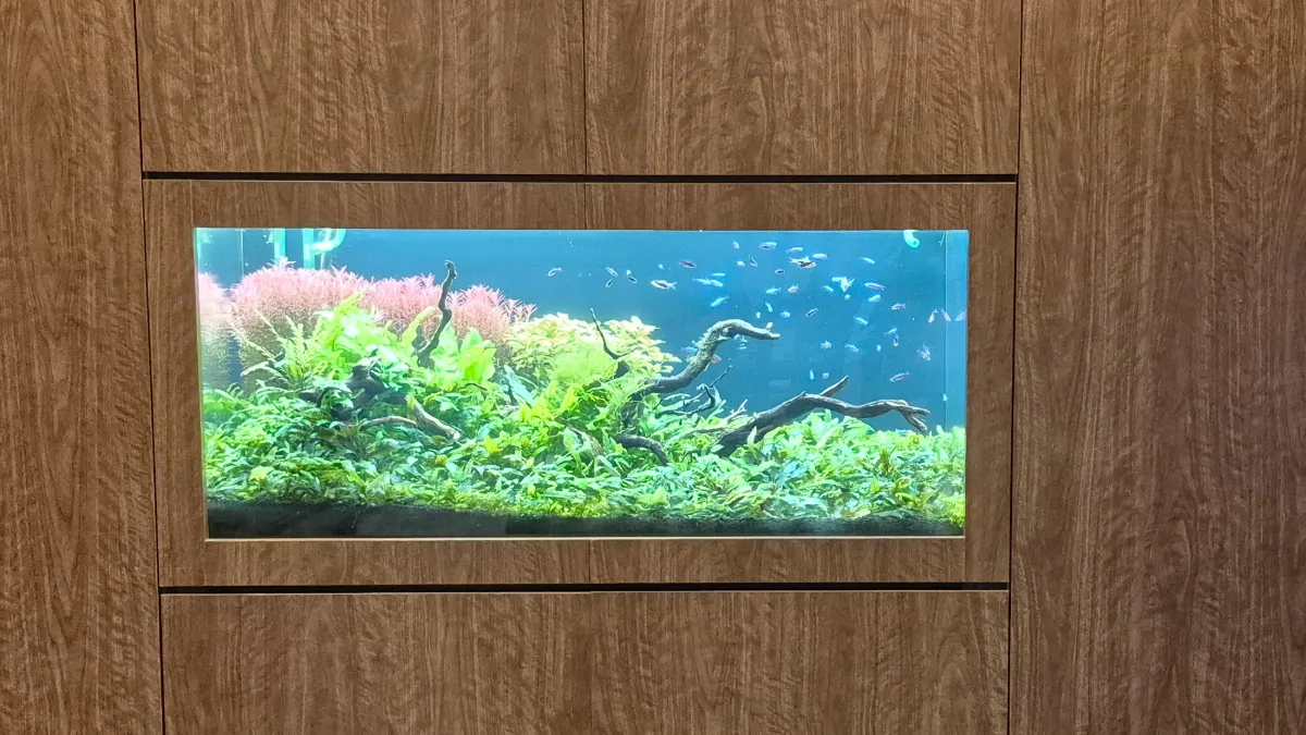 木目の壁面に埋め込んだ120cm水草水槽
