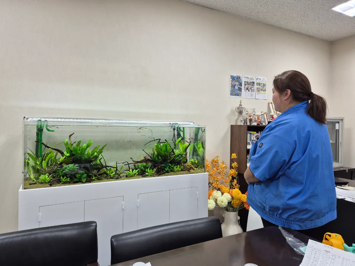 斜めから見た会議室の150cm熱帯魚水槽
