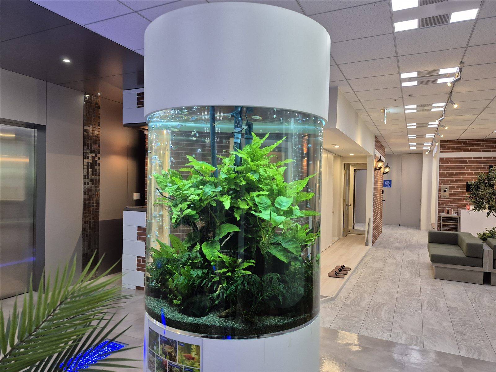 通路から見た円柱熱帯魚水槽