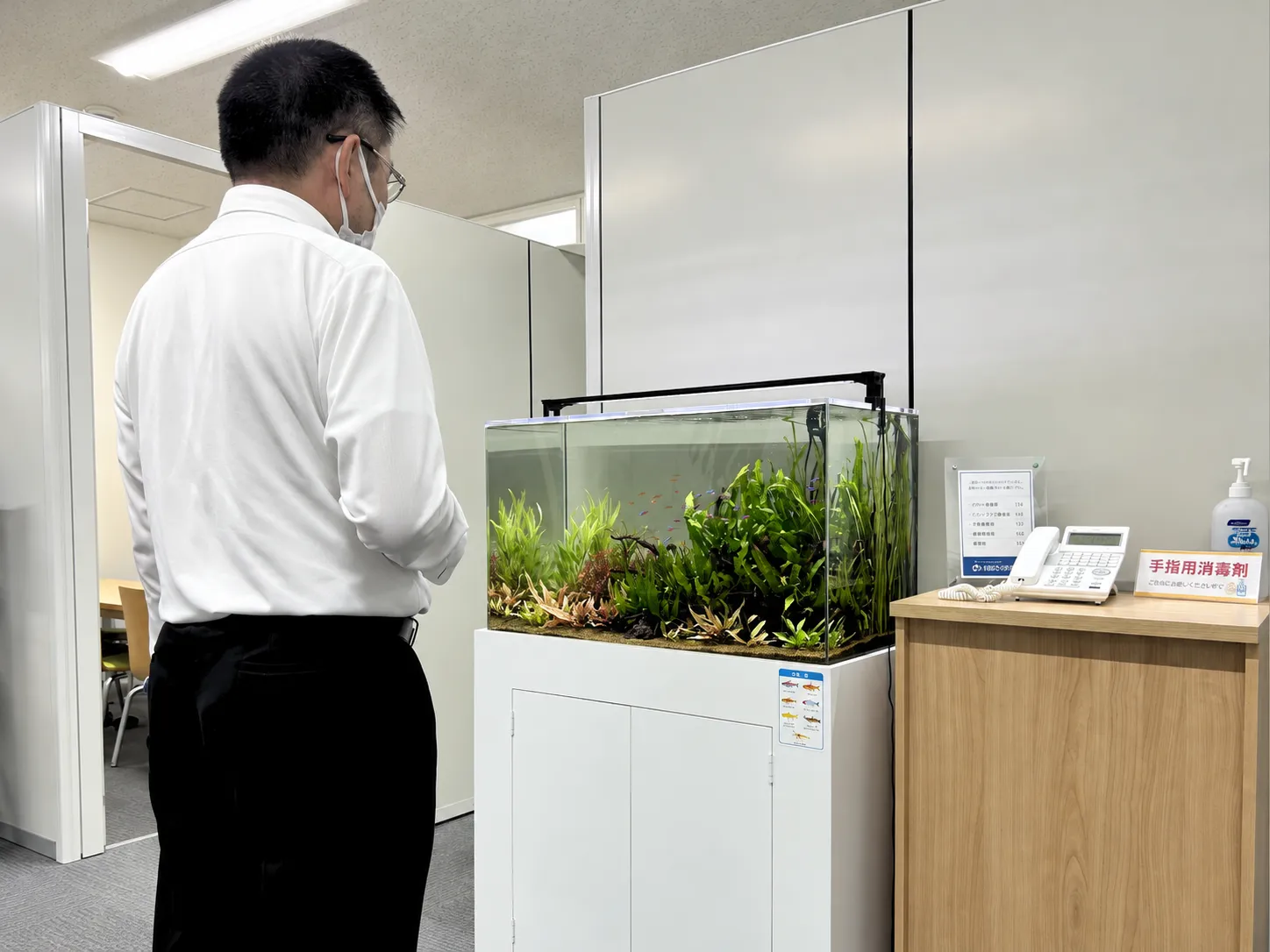 文京区のオフィスに設置した白いキャビネットの90cm熱帯魚水槽