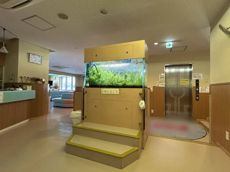 港区|スポーツクラブのエレベーター前に120cm水草水槽