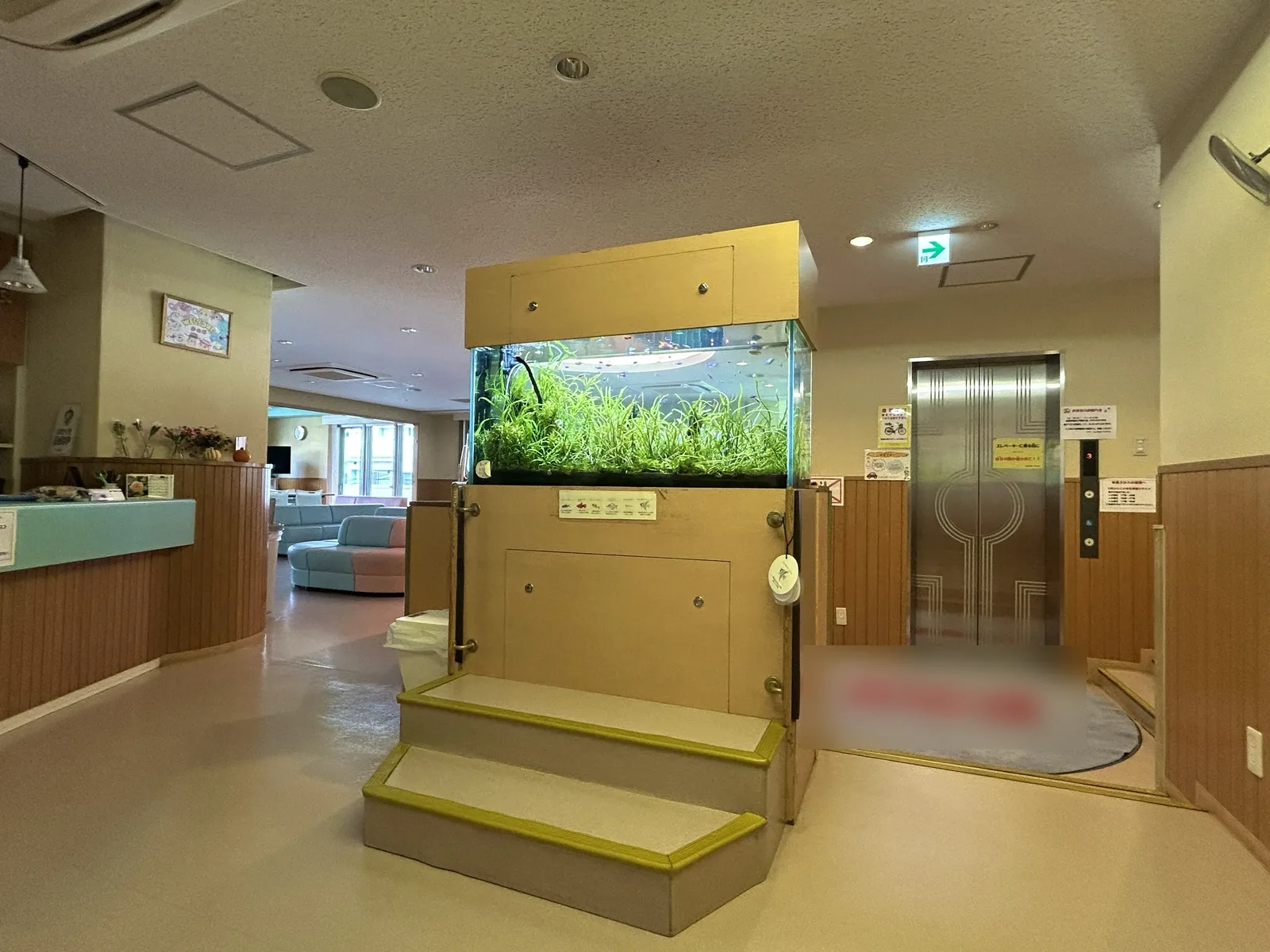 東京都港区のスポーツクラブ、エレベーターのすぐ横に置かれた幅120cmの水草水槽