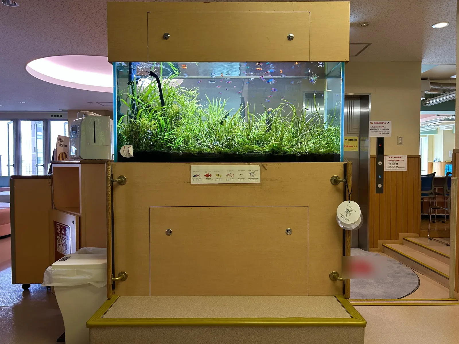 木目調のキャビネットに載った120cmの水草水槽を正面から見たところ