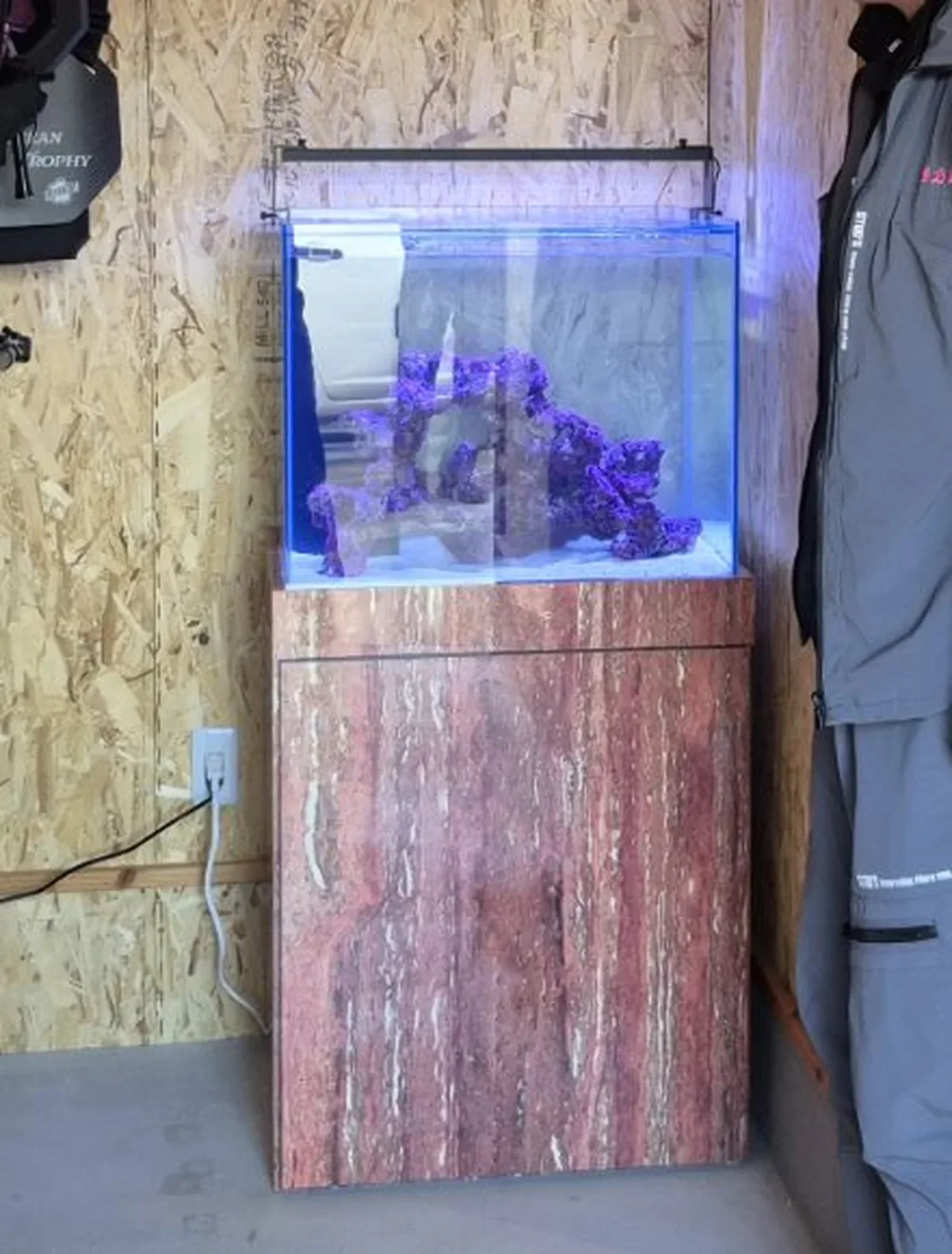 ライブロックと白砂をレイアウトした60cmオーバーフロー海水水槽（斜めから）