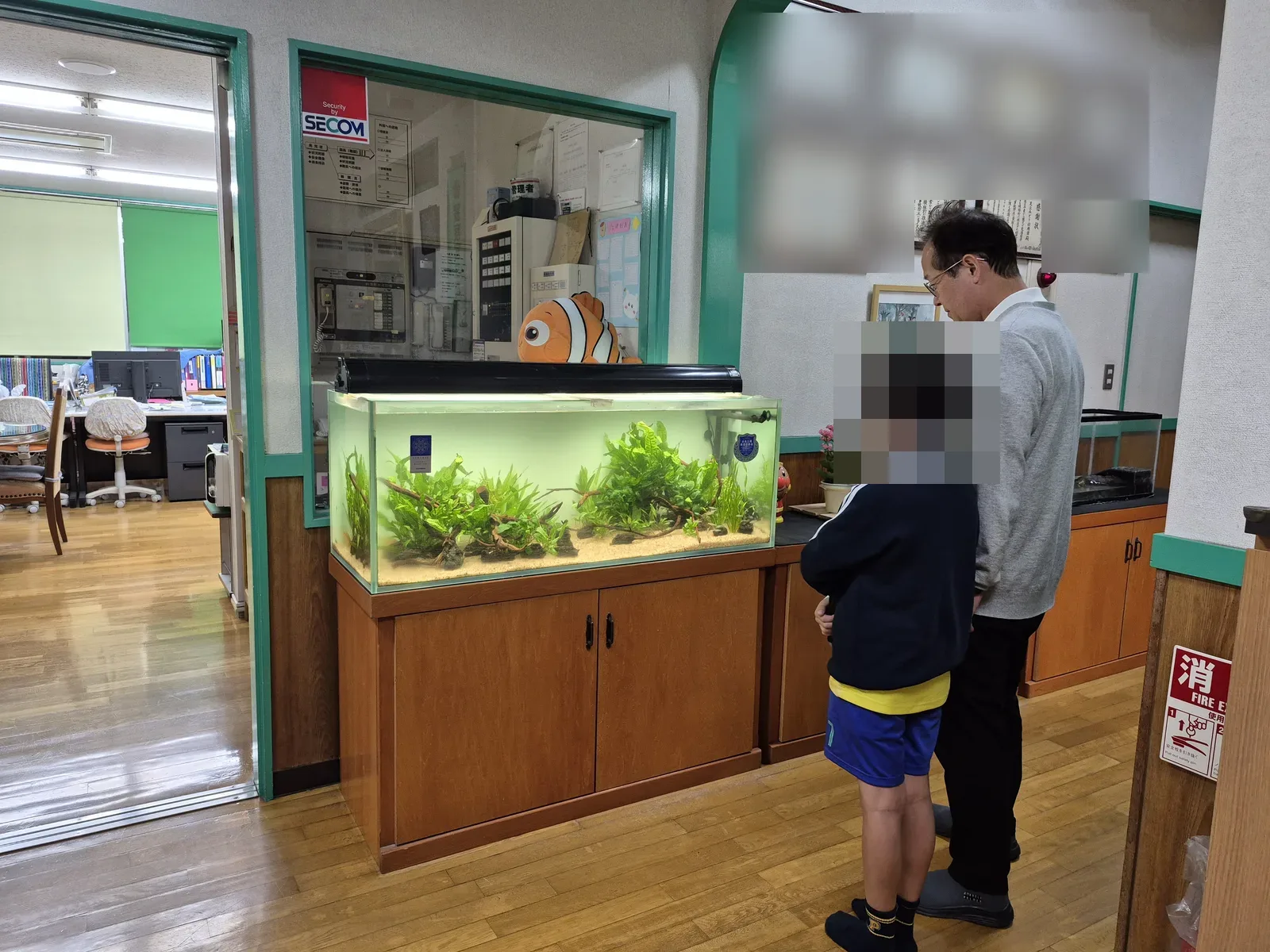 東京都足立区の幼稚園で、リニューアルした120cmの水草水槽を園長先生とお子さんがのぞいている様子
